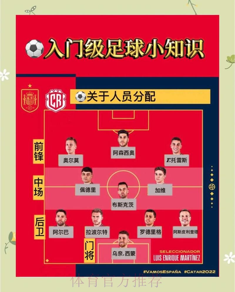 全面解析世界杯比赛预测技巧与方法